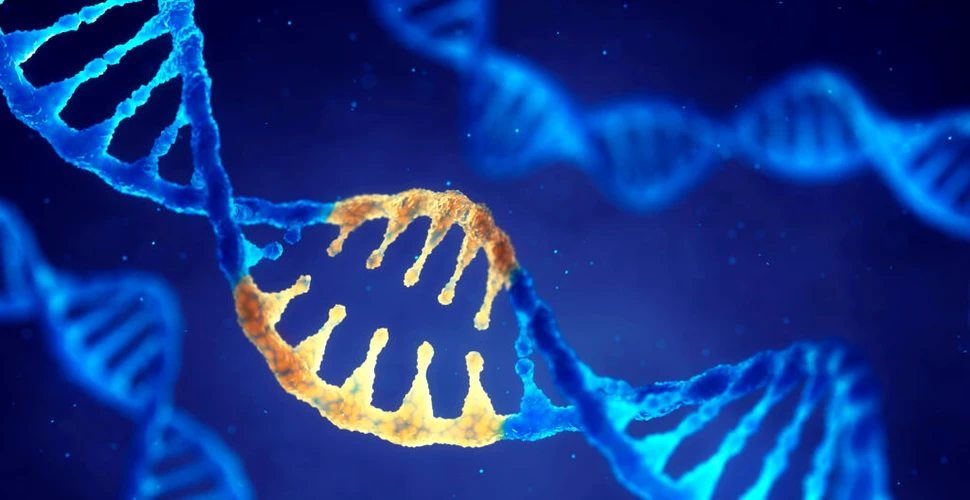 Cercetătorii au identificat o nouă mutație care ar declanșa lupus