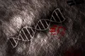 Ce ne poate spune ADN-ul antic despre cine suntem cu adevărat?