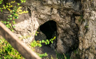 Oameni sau altceva? Peștera Denisova ascunde istoria ciudată a trecutului nostru