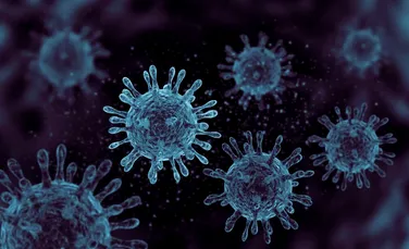 Oamenii de știință au descoperit un virus gigantic care se reproduce într-un mod complet unic
