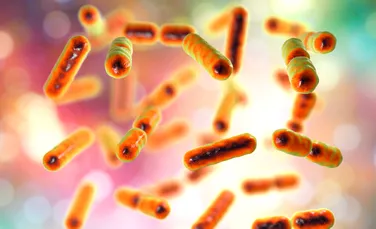 Cercetătorii au descoperit cum se răspândește o bacterie comună în organism