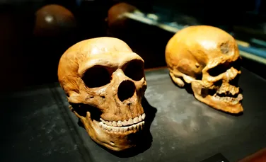Un craniu antic descoperit în China nu seamănă cu niciun om cunoscut până acum