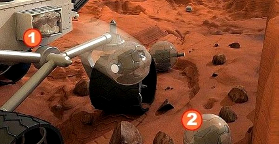 Noua generatie de cercetasi de pe Marte