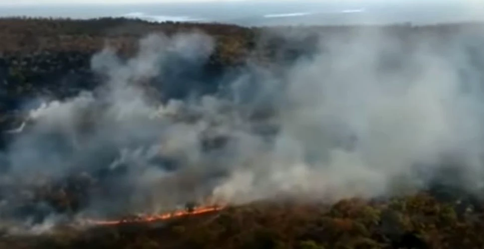 Incendiile din Pădurea Amazoniană, ”plămânul verde al Terrei”. Macron crede că Bolsonaro ”a minţit”