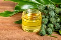 Uleiul de ricin: ce beneficii sunt cu adevărat susținute de știință?