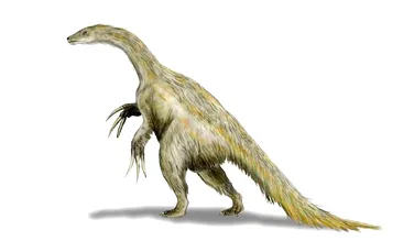 Dinozaurii cu coase –  o familie aparte