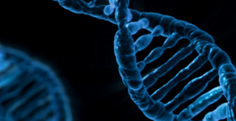 Cele mai comune trăsături umane sunt mutaţii genetice