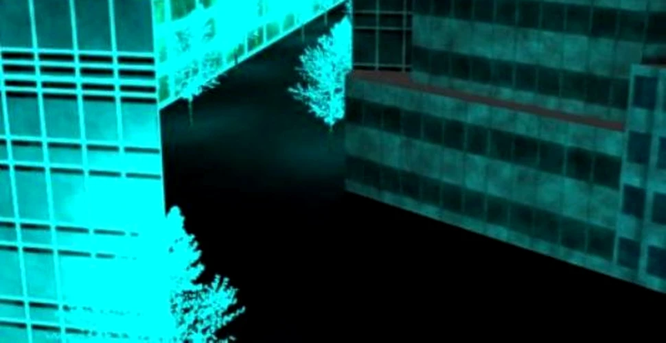 Copacii bioluminiscenti ar putea lumina strazile viitorului