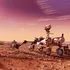 China ar putea aduce mostre de roci de pe Marte pe Pământ cu doi ani înaintea NASA