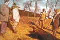 Nicolae Ceaușescu la vânătoare: „Trăgea la tot. Nu ierta nimic”
