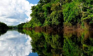 Michelle Bachelet cere Braziliei să protejeze Pădurea Amazoniană de minerit