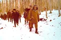 De ce a vrut Ceaușescu să încrucișeze urșii din Alaska cu cei din Munții Carpați?