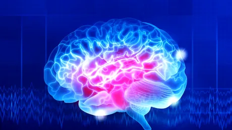 Oamenii de știință au inversat anxietatea prin repararea unui mic circuit cerebral