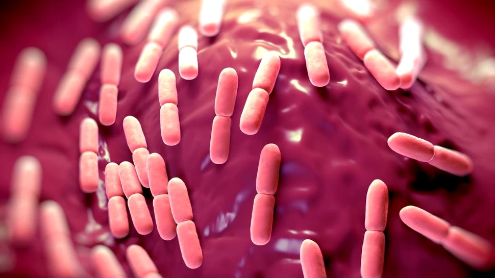 Experţii au descoperit că bacteriile pot comunica prin impulsuri electrice, iar acest lucru este îngrijorător – VIDEO