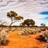 O tânără din Germania, găsită în viață după 12 zile de dispariție în Australia