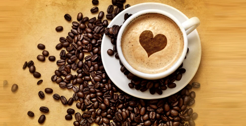 Iubitorii de cafea au motiv de bucurie. Cofeina nu produce palpitaţii cardiace, iar latte-ul de dimineaţă este chiar benefic.  VIDEO