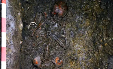 Mormânt neolitic, descoperit în pivnița unui palat din centrul Cluj-Napoca