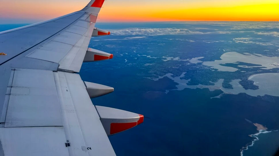 Întârziere de două ore pentru pasagerii unui avion din Australia, după ce un șarpe a fost găsit la bord