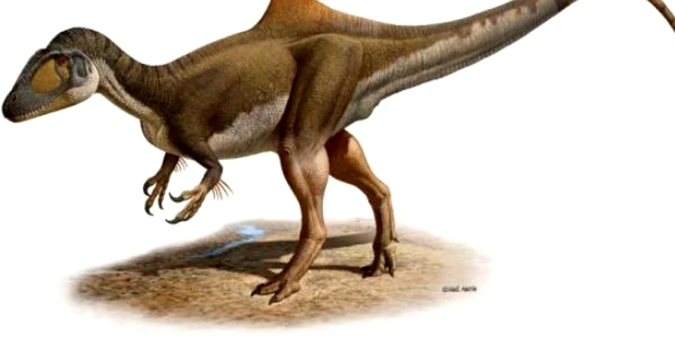Cel mai ciudat dinozaur a fost descoperit in Spania