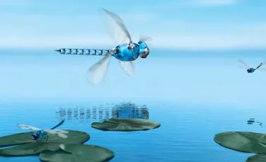 BionicOpter: libelula gigant care spionează (VIDEO)