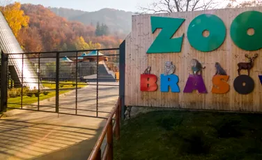 Pinguinii şi focile la Zoo Braşov vor avea o casă de 3,6 milioane de euro