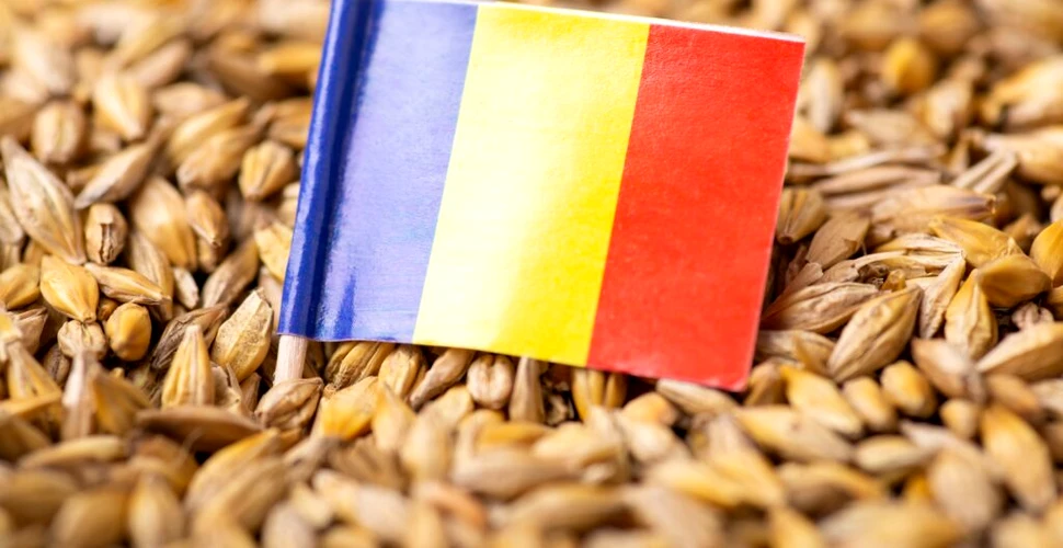 România este cea mai ieftină țară membră UE pentru alimente și băuturi nealcoolice