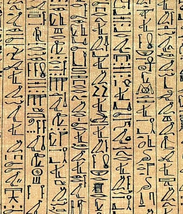Multe hieroglife reprezintă animale