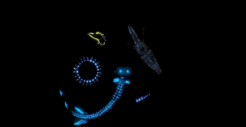 Oamenii de ştiinţă dezvăluie noi secrete ale fiinţelor bioluminiscente din adâncuri (FOTO/VIDEO)