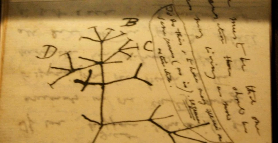 Cum a ajuns Charles Darwin să fie pasionat de conceptul ”Pomului vieţii”. Totul a început încă din copilărie – FOTO