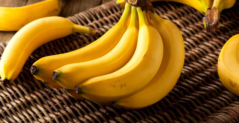 Bananele modificate genetic, aprobate de autorități pentru prima dată. Unde s-a întâmplat?