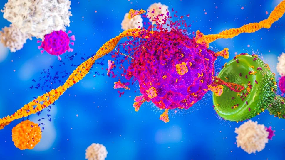 Cercetători din Marea Britanie au identificat ținte pentru celulele T, cu rol în apariția unor noi vaccinuri împotriva COVID-19