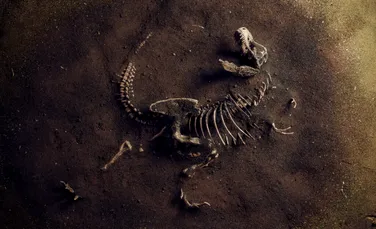 Un dinozaur uriaș a fost descoperit sub un șantier din Brazilia