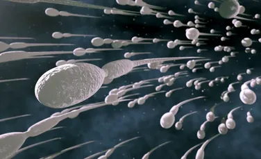 NASA a trimis spermă umană către Staţia Spaţială Internaţională. Studiul în premieră care va fi realizat de cercetători
