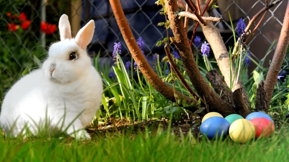 MESAJE DE PAŞTE 2022. Iată cele mai frumoase felicitări și urări de Paște