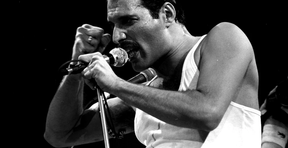 Prietena lui Freddie Mercury scoate la licitație sute de obiecte care au aparținut cântărețului