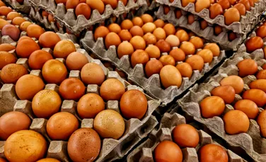 Cât de reală este criza de ouă din România? „Stăm foarte bine, şi pentru intern, şi pentru extern”