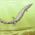 Fosile vechi de 300 de milioane de ani dezvăluie că primele vertebrate ajunse pe uscat nu erau ceea ce credeam, susțin cercetătorii