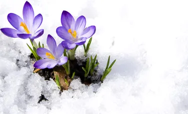 Meteorologii anunță schimbări majore în evoluția vremii