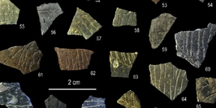 Cele mai vechi modele geometrice create de om, descoperite pe coji de ouă vechi de 60.000 de ani