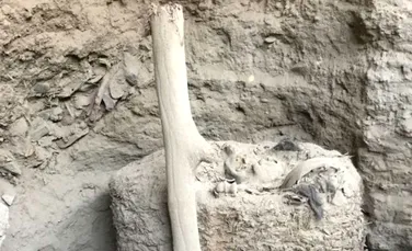 O mumie veche de un mileniu a fost descoperită în Peru. Se află într-o stare perfectă de conservare