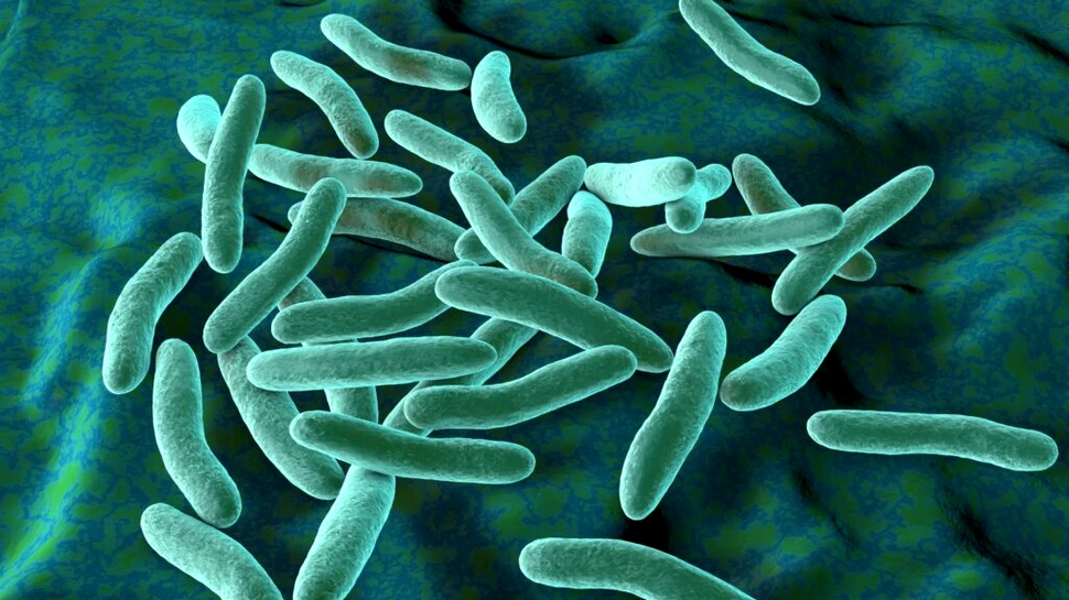 Secretul pentru obținerea de electricitate din umezeală