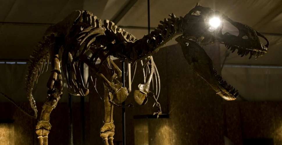 SUA returnează Mongoliei schelete şi fosile de dinozauri furate, o comoară de mare preţ