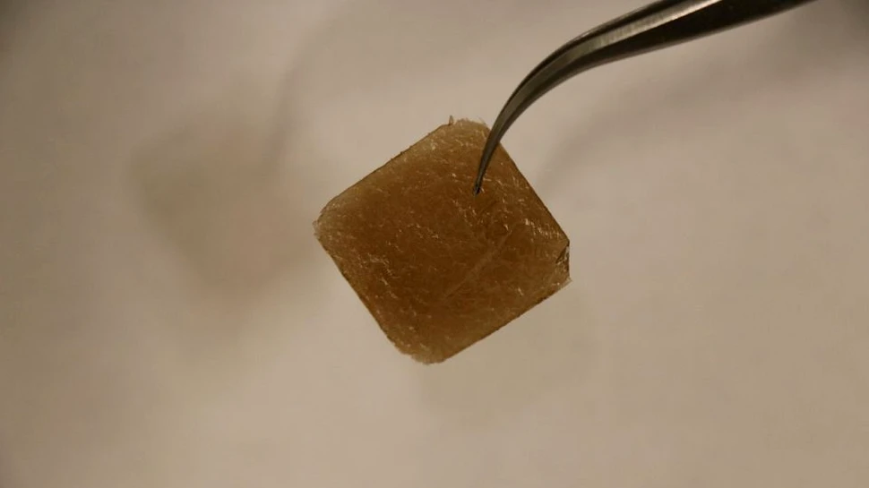 O nouă metodă de identificare a imperfecţiunilor materialelor 2D deschide perspectiva unor electronice mai mici