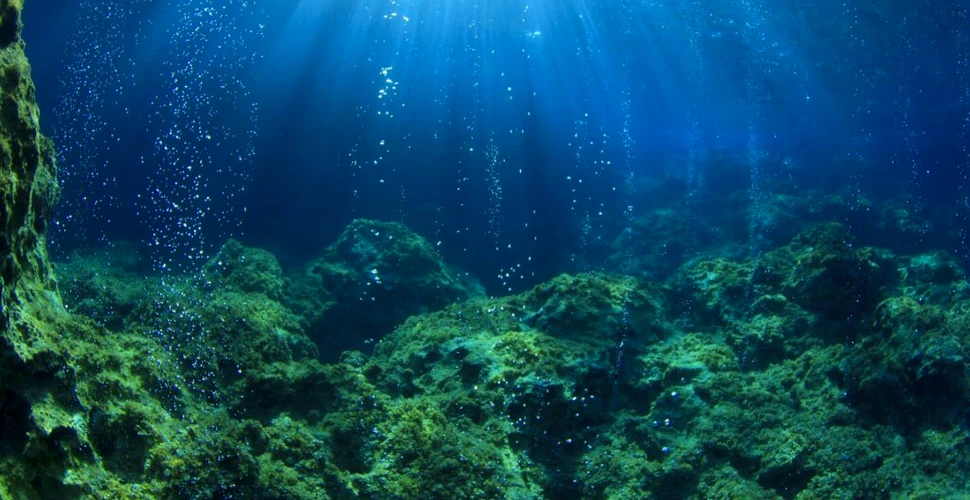 Un sunet misterios din adâncul oceanului a fost în sfârșit explicat