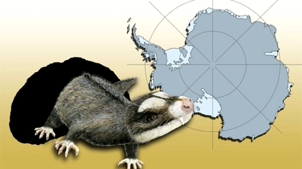 Antarctica a fost populata candva de reptile mici