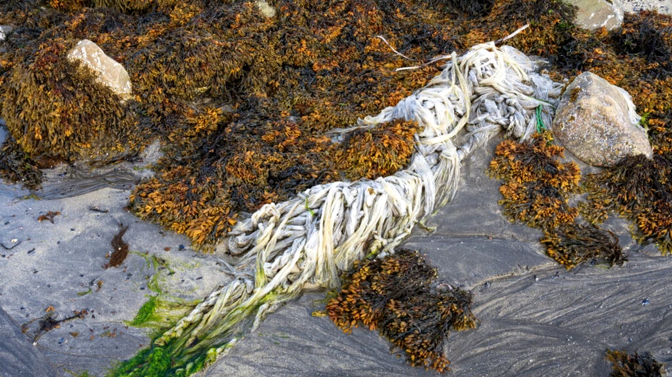 Deșeurile de plastic găsite în Arctica provin de la toate țările lumii