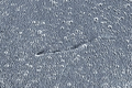 Erupțiile de pe cometa Leonard au fost văzute de un satelit NASA