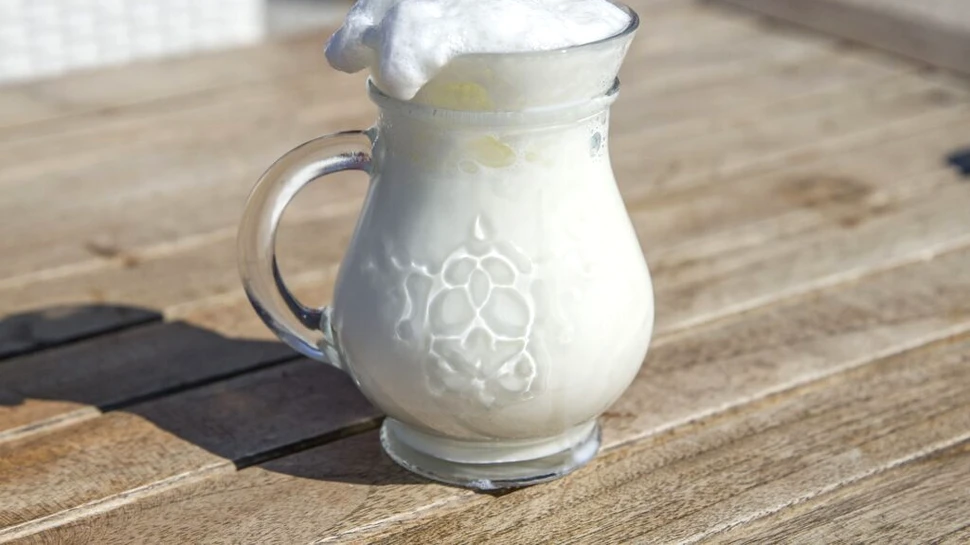 Test de cultură generală. Care este diferența dintre chefir și ayran?