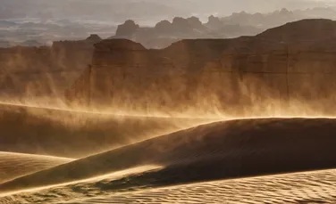 Lecția uitată a filosofului John O’Donohue despre puterea de vindecare a lucrurilor frumoase. Cum ne poate salva frumusețea?