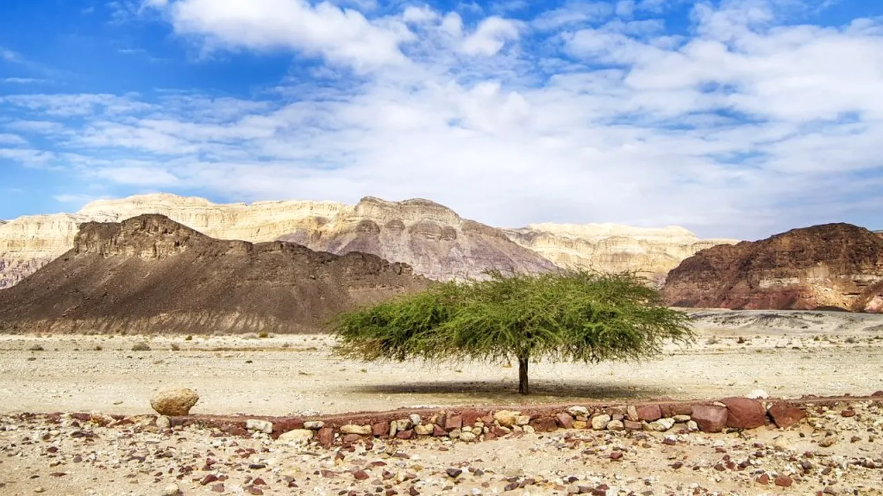 desertul Negev_pixabay_descopera 